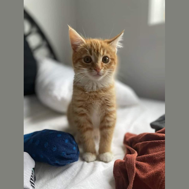 Photo of Finnegan