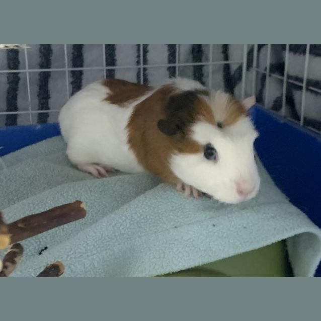 Photo of Ted