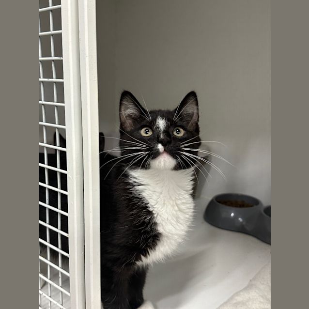 Photo of Mr Worry