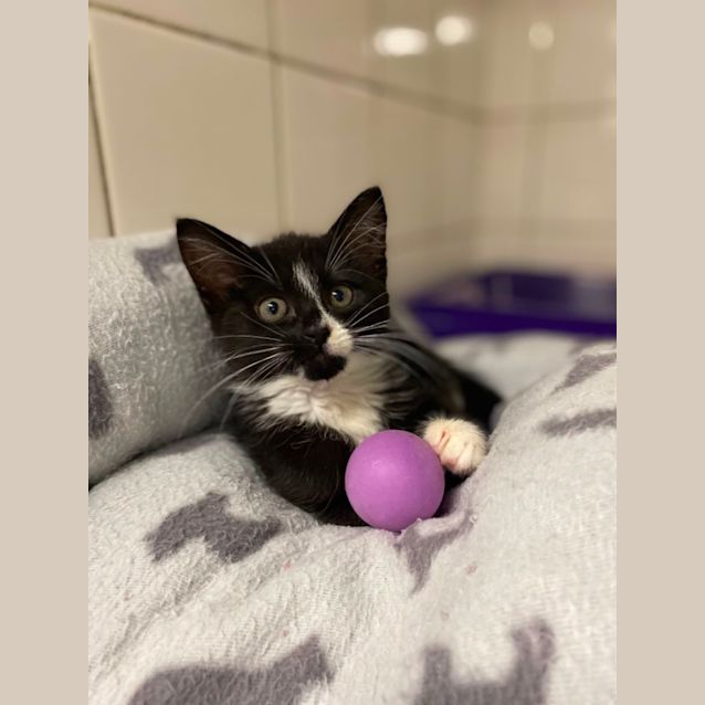 Photo of Penelope
