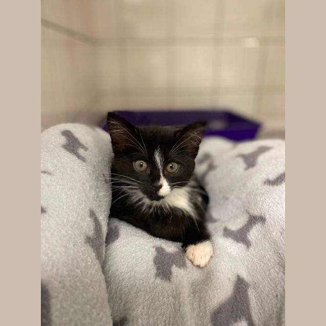 Photo of Penelope