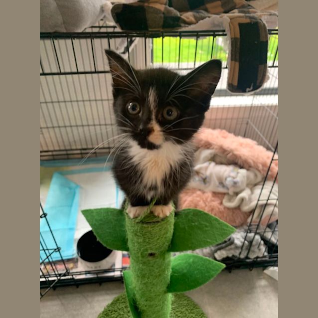 Photo of Penelope