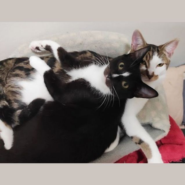 Photo of Ari And Willow