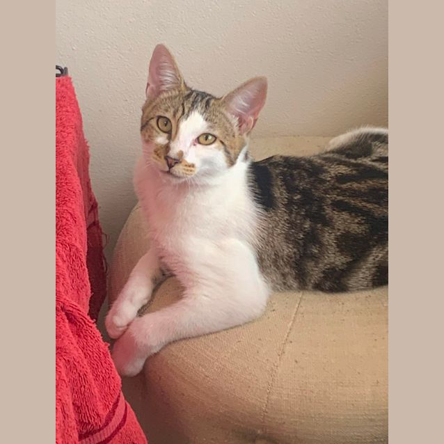 Photo of Ari And Willow