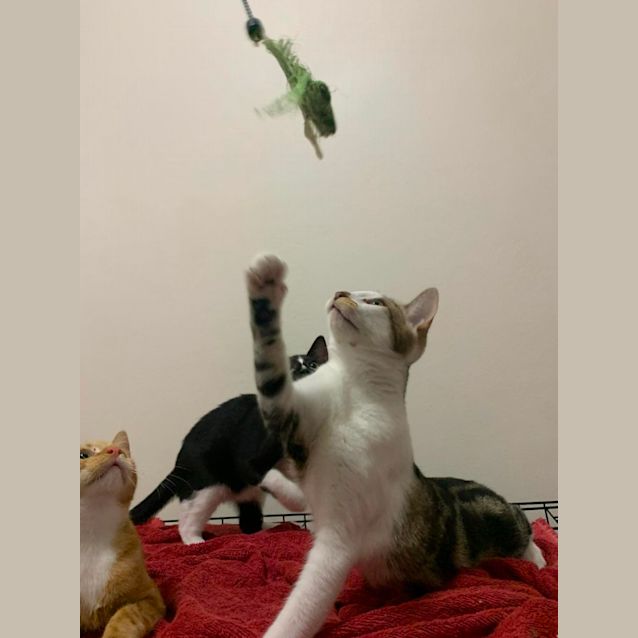 Photo of Ari And Willow