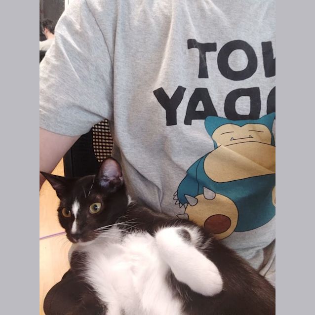 Photo of Ari And Willow