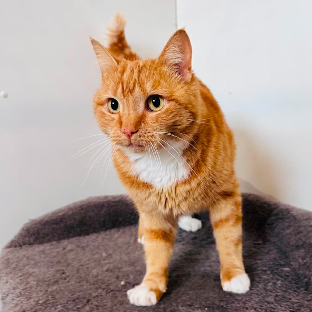 Photo of Bebs   Located In Brunswick East