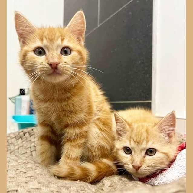 Photo of ♥️rapunzel And Ruby♥️
