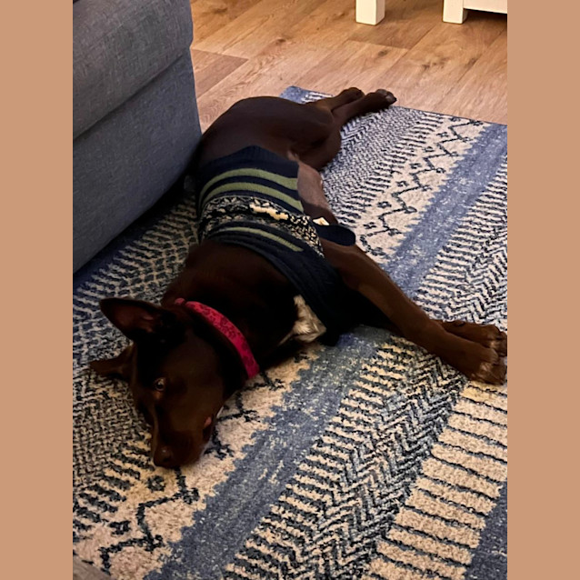 Photo of Jill