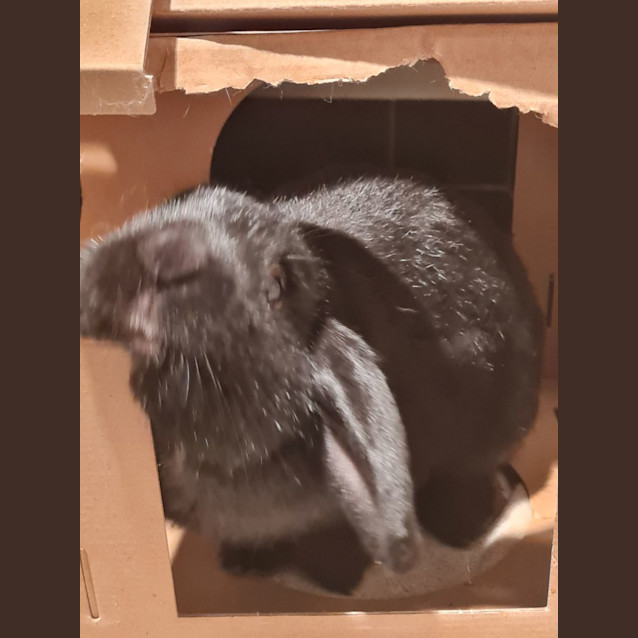 Photo of Ruby Destiny & Quinn