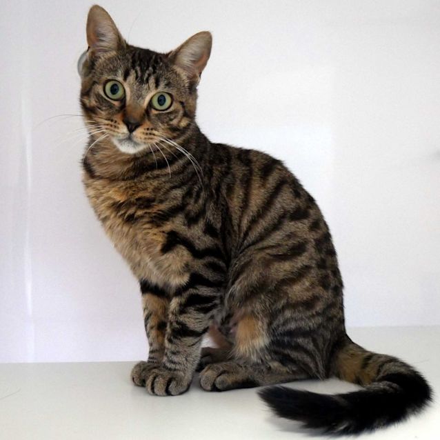 Photo of Daisy Rsta010888