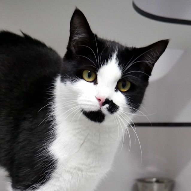 Photo of Fiona Suk011338