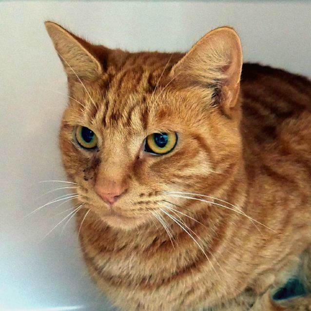 Photo of Gus Rsta011052