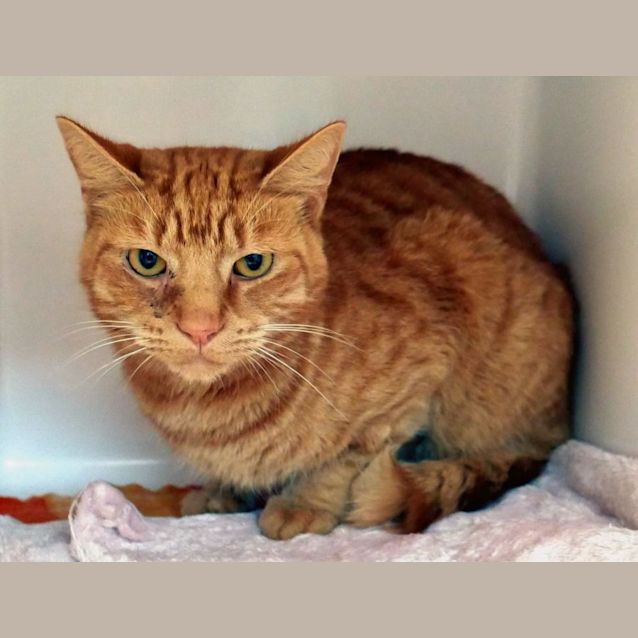 Photo of Gus Rsta011052