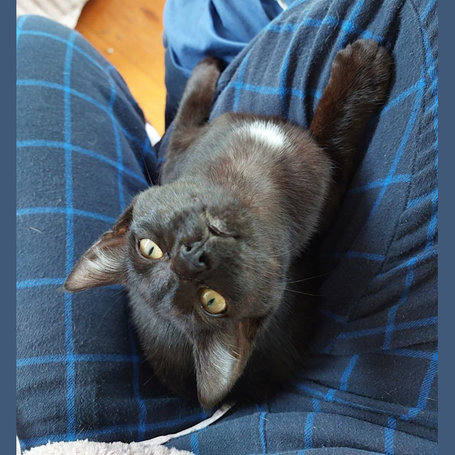 Photo of Kiara