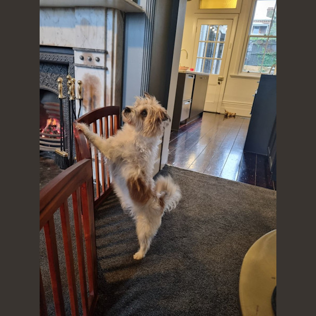 Photo of  Hamilton Cumberbatch