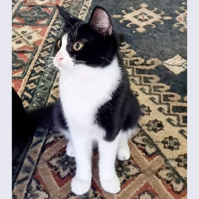 Photo of Vivian