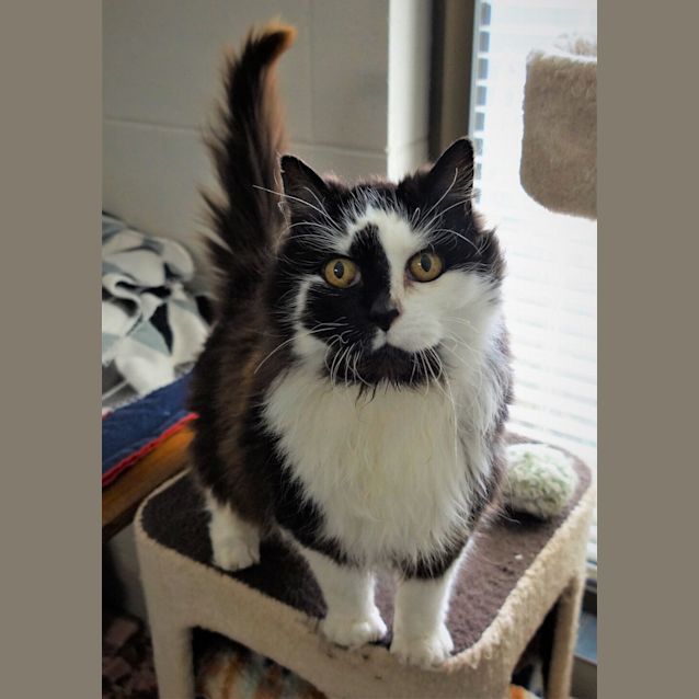 Photo of Missy