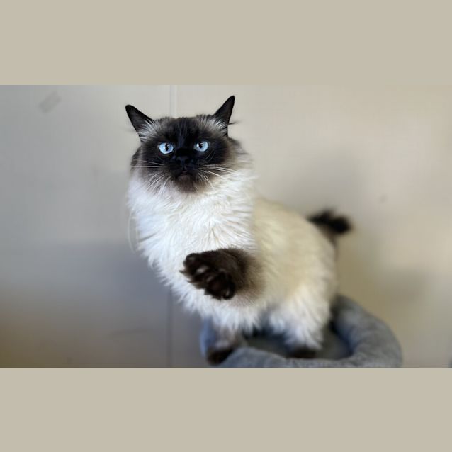 Photo of Gloria