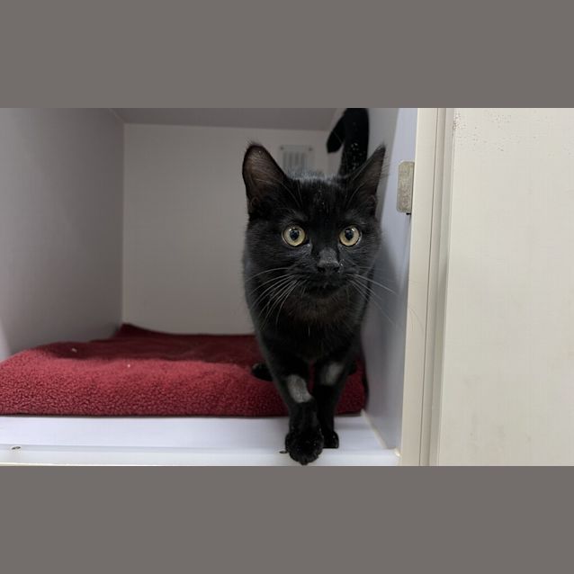 Photo of Wednesday