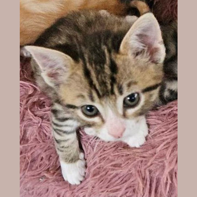Photo of Levi 💙