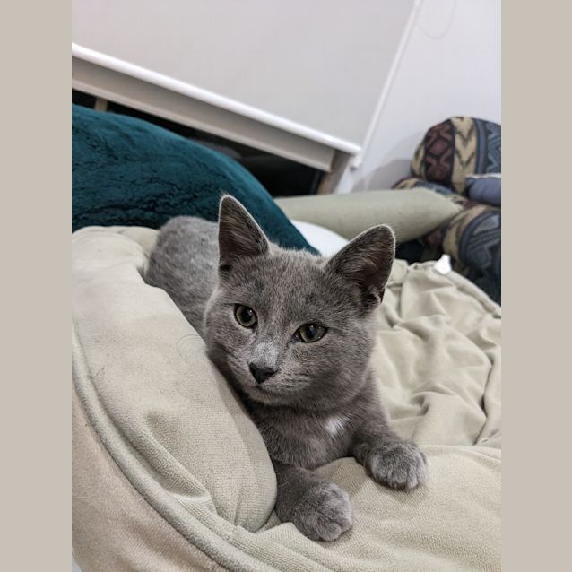 Photo of Mercury