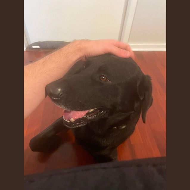 Photo of Gus