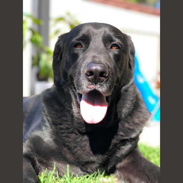 Photo of Gus