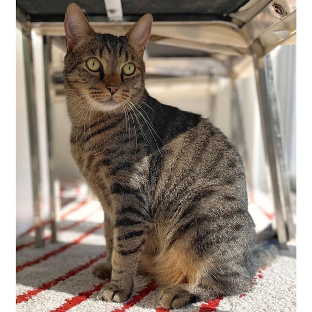 Photo of 8213   Spike