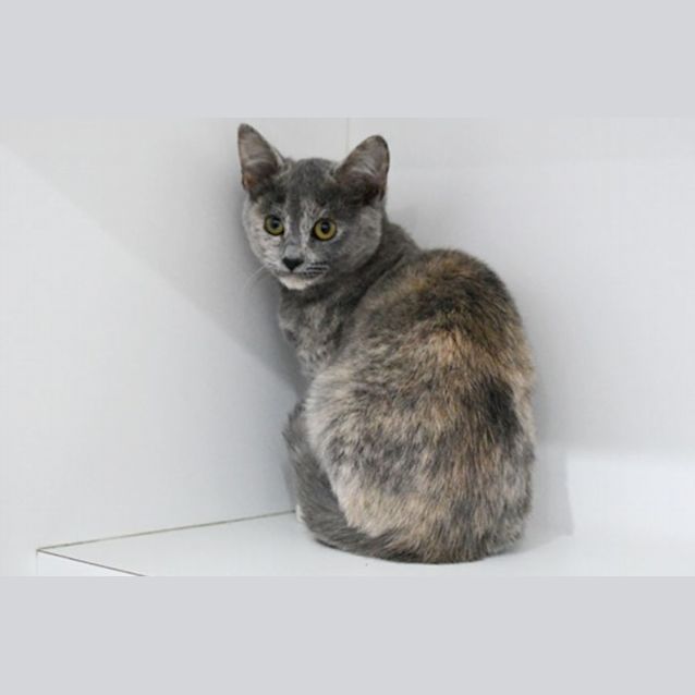 Photo of Junie 10871