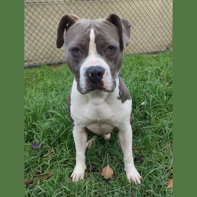 Photo of Duke