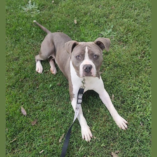 Photo of Duke