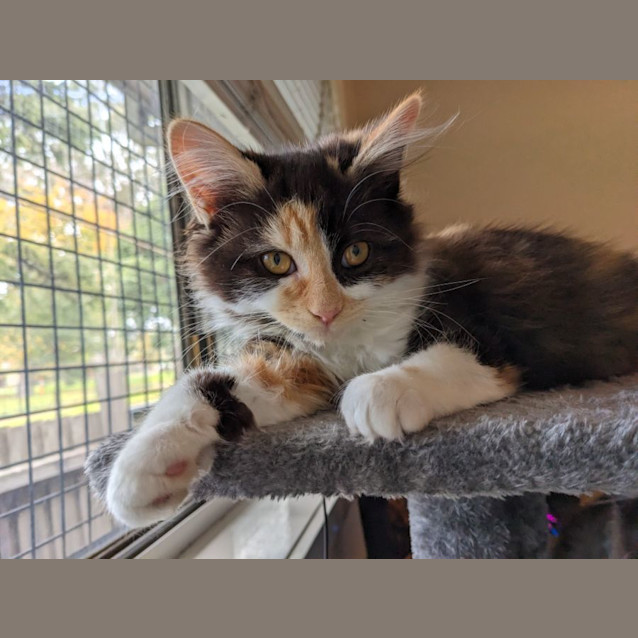 Photo of Alessandra   Located In Brunswick East 