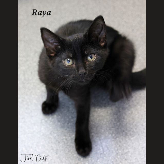 Photo of Raya