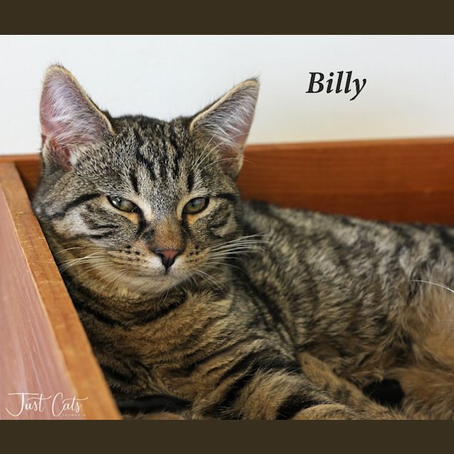 Photo of Billy