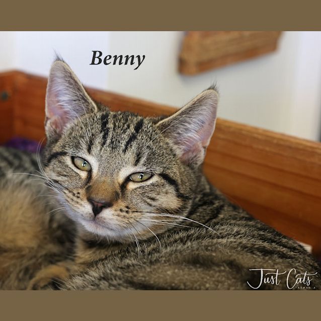 Photo of Benny