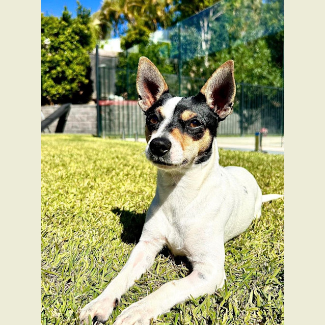 Photo of Connie