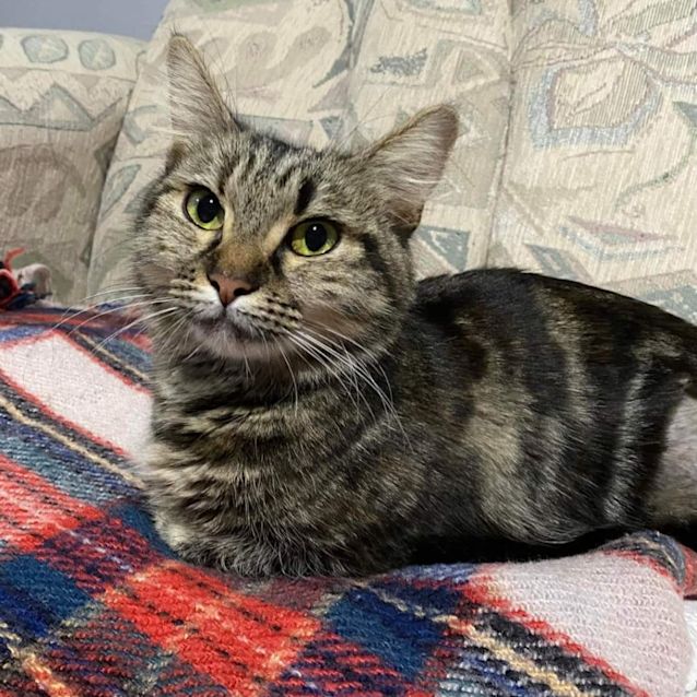 Photo of Jellybean