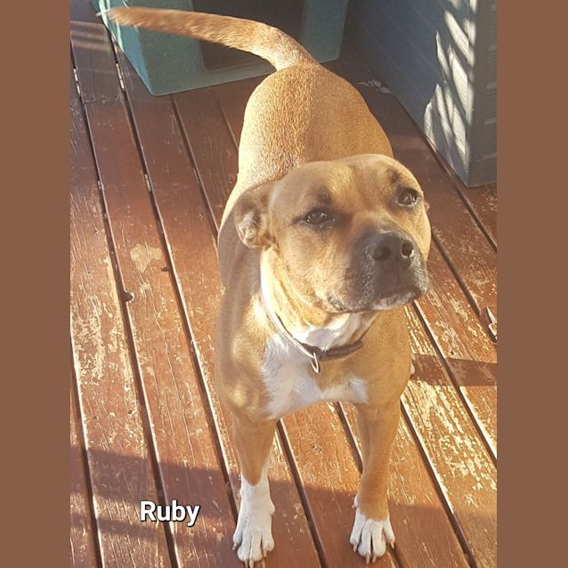 Photo of Ruby