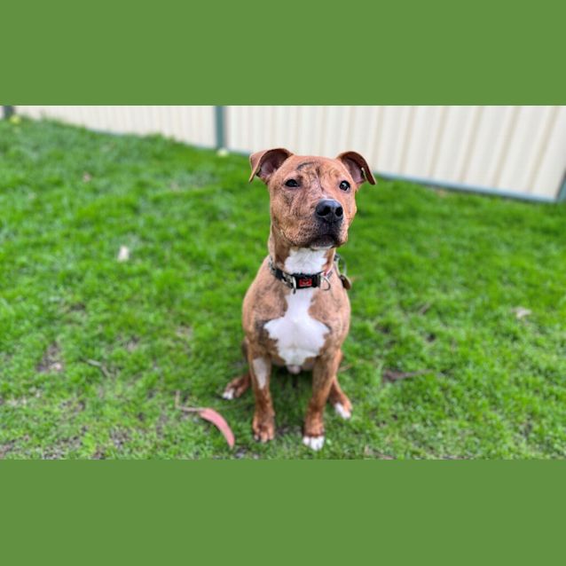 Photo of Oakley