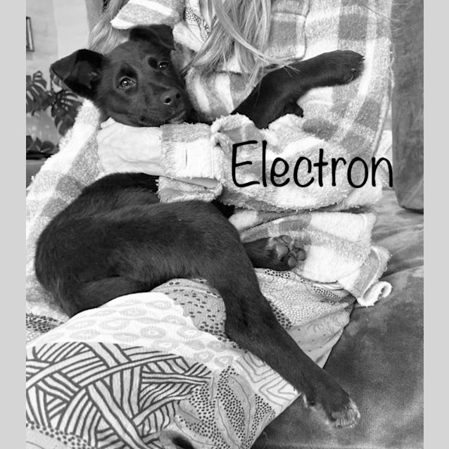 Photo of Electron