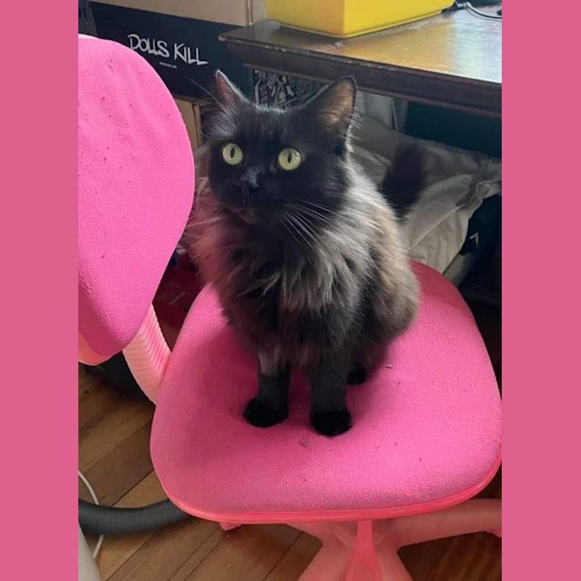 Photo of Missy