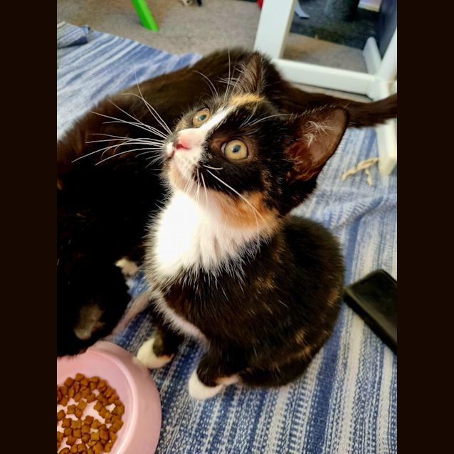 Photo of Suki