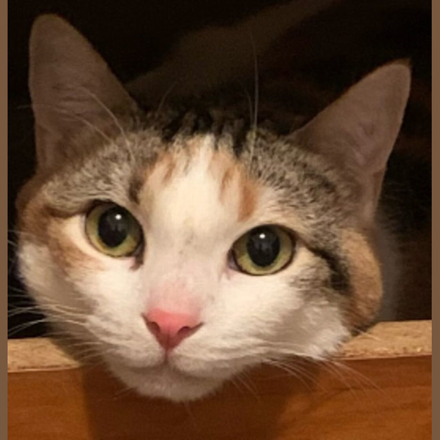 Photo of Connie
