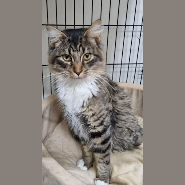 Photo of Kevin And Eddie