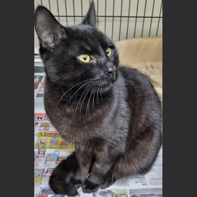 Photo of Kevin And Eddie