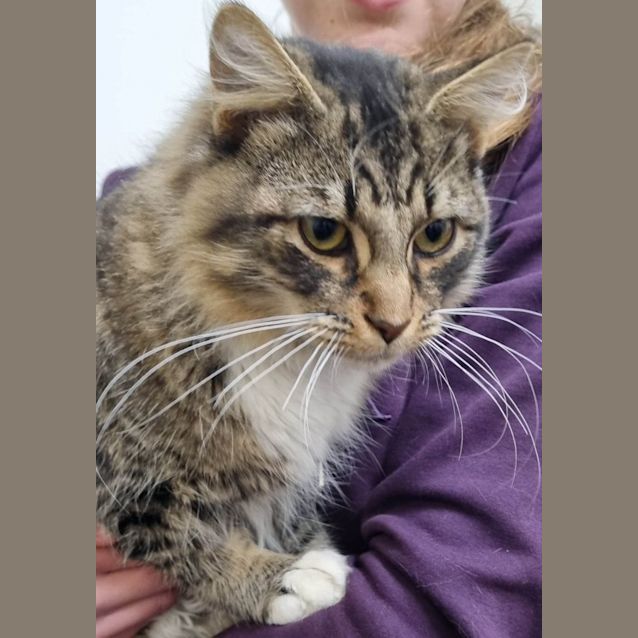 Photo of Kevin And Eddie