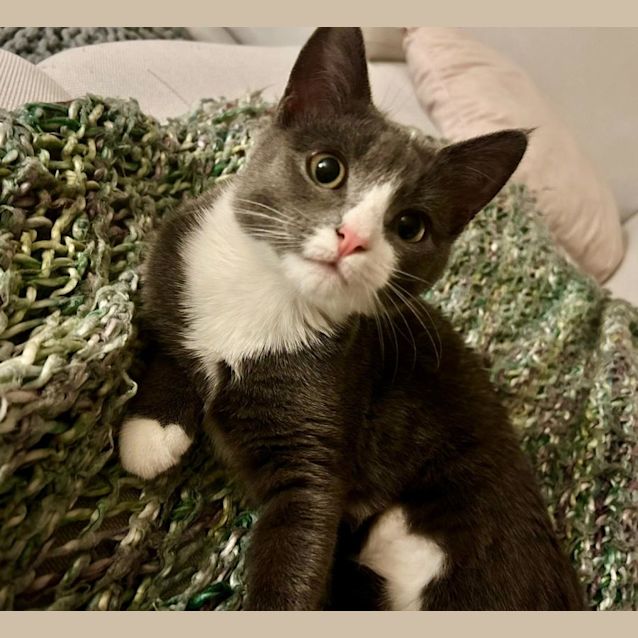 Photo of Marvelous Meredith