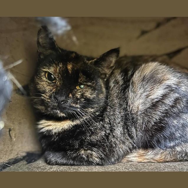 Photo of Winnie