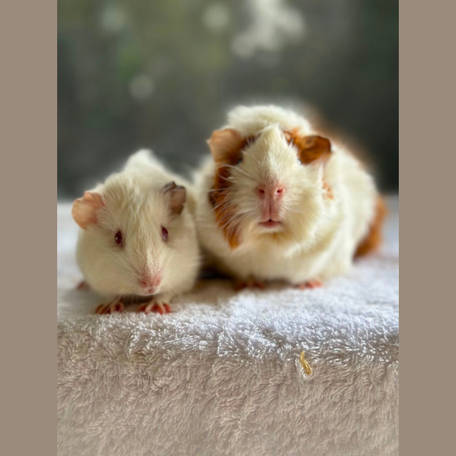 Photo of Buffy & Willow